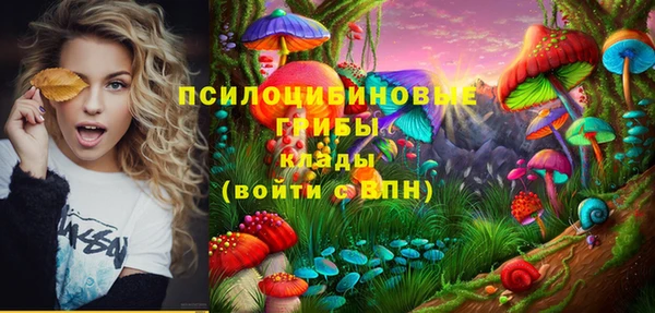 стафф Алексеевка