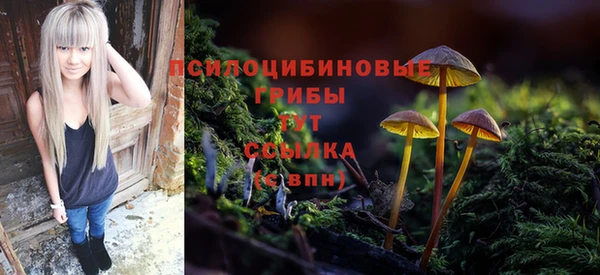 spice Алзамай