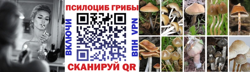 Псилоцибиновые грибы MAGIC MUSHROOMS  Кремёнки 