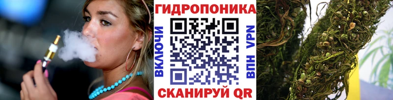 Канабис семена  Кремёнки 
